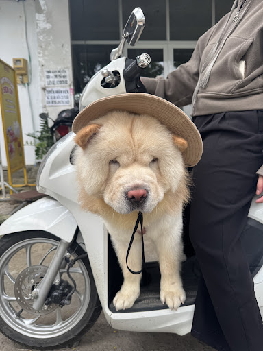 Photo from customer review