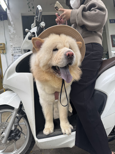 Photo from customer review