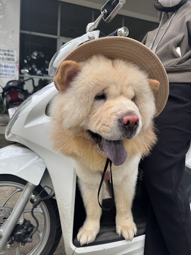 Photo from customer review